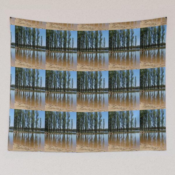 Item preview,  Poplars at Lake Ginninderra, Belconnen, Australia. designed and sold by kaysharp.