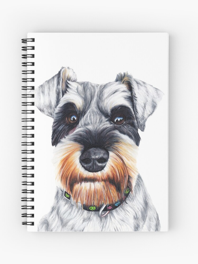 Sketch Schnauzer Drawing Easy Schnauzer Drawing By Barb Baker