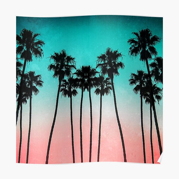 Palm Trees 3 Poster