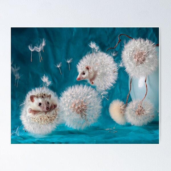 Item preview, Hérissons - Pissenlits. Photographe Eremina Elena. designed and sold by Elena Eremina.