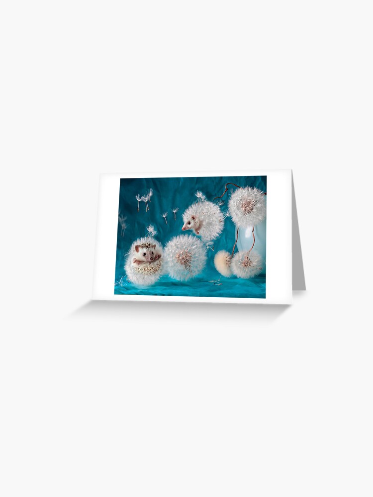 Thumbnail 1 of 2, Greeting Card, Hedgehogs- dandelions. Photographer Eremina Elena. designed and sold by Eremina-Elena.