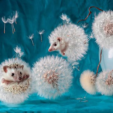 Artwork thumbnail, Hedgehogs- dandelions. Photographer Eremina Elena. by Elena Eremina
