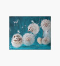 Hedgehogs- dandelions. Photographer Eremina Elena. Art Board