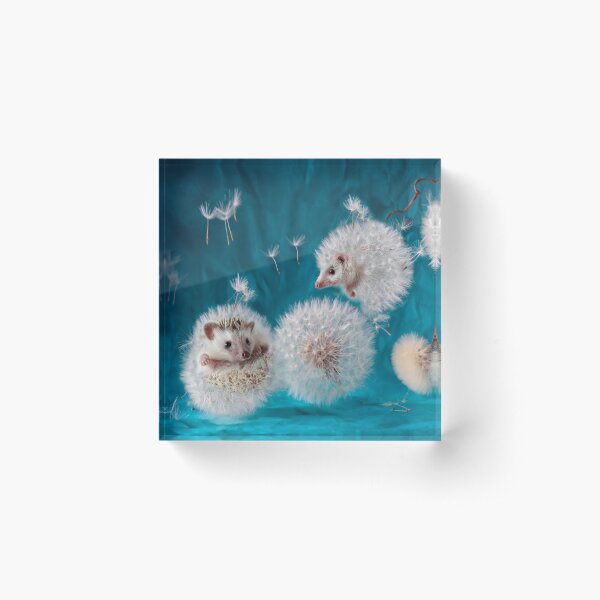 Item preview, Hedgehogs- dandelions. Photographer Eremina Elena. designed and sold by Elena Eremina.