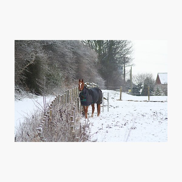 Artikelvorschau, Wrapped up warm entworfen und verkauft von OnlyPhotos.