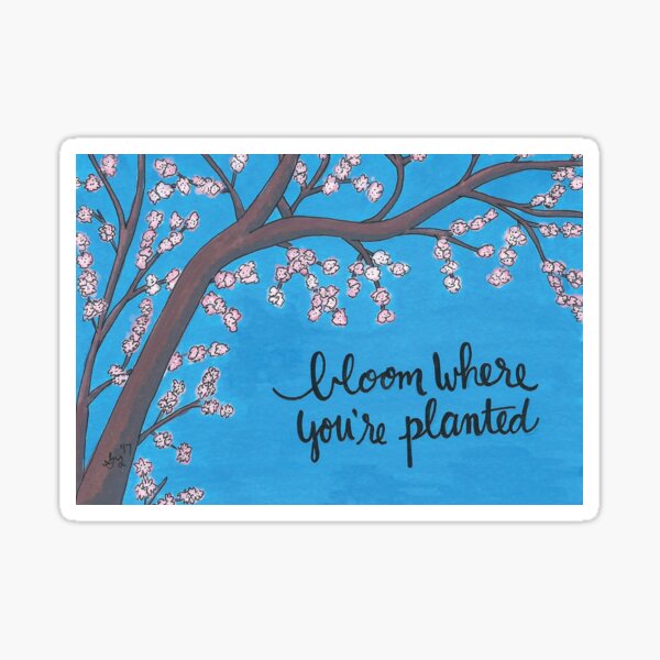 Bloom Where You're Planted Sticker