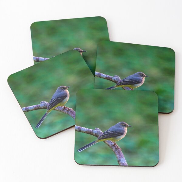 Item preview, Grey Wagtail designed and sold by iCimages.net.