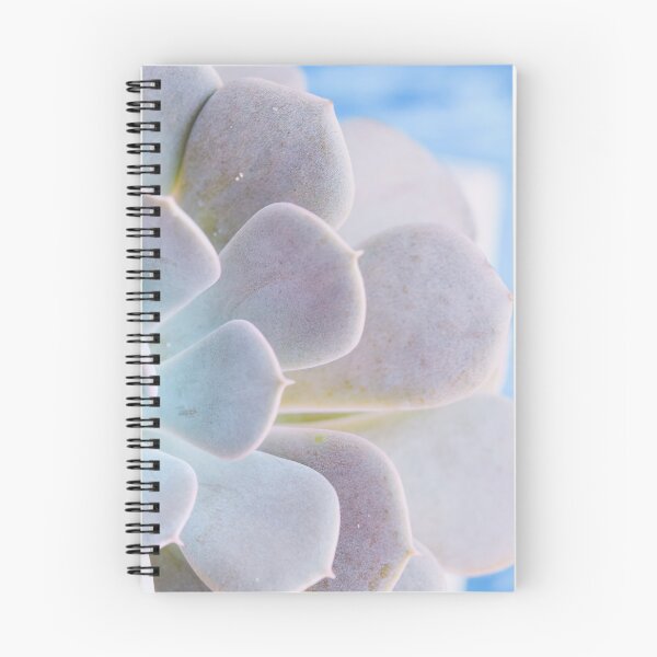 Item preview, Echeveria designed and sold by oliviastclaire.