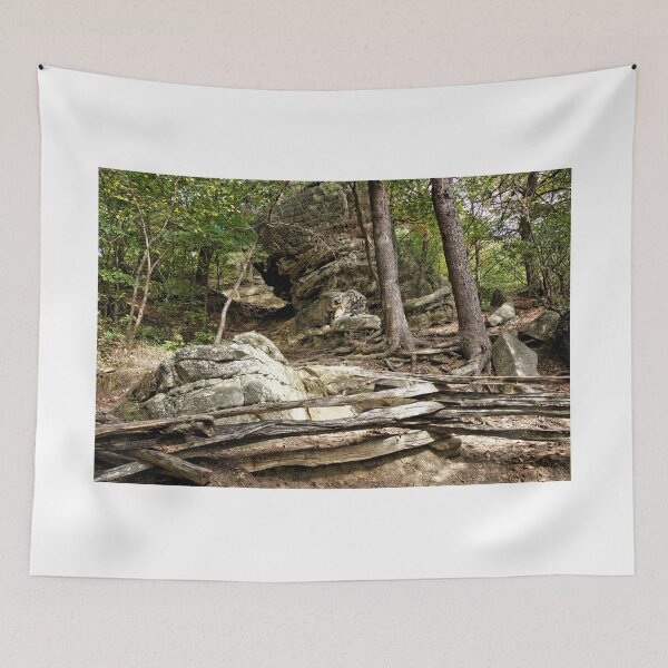 Item preview, Rock Formations Along The Pinnacle Trail - Cumberland Gap National Historical Park designed and sold by jtrommer.
