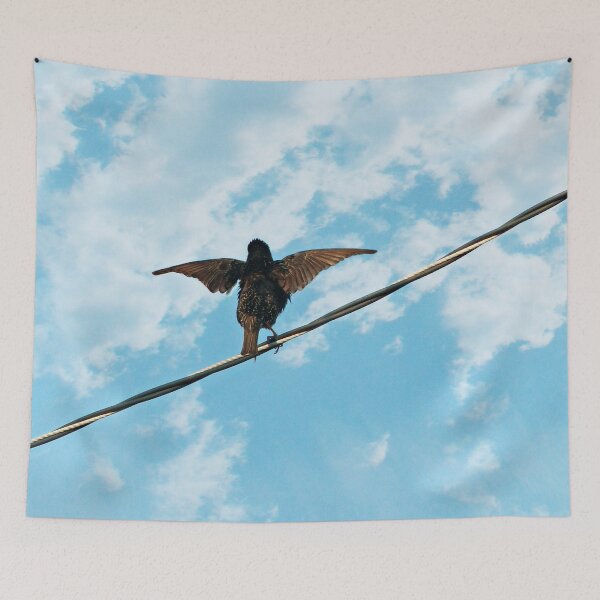 Item preview, Do a little dance...make a little love..... designed and sold by Frankie Cat Photography.