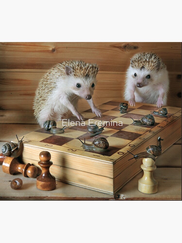 Thumbnail 3 of 3, Canvas Print, Hedgehogs - the chess players designed and sold by Eremina-Elena.