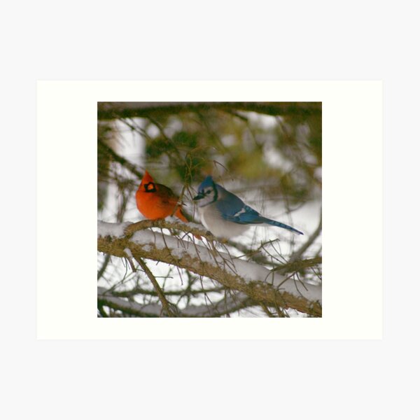 Winter Birds Art Print