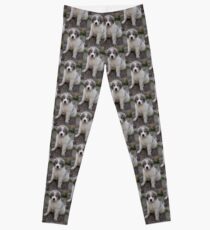 great pyrenees puppy Leggings