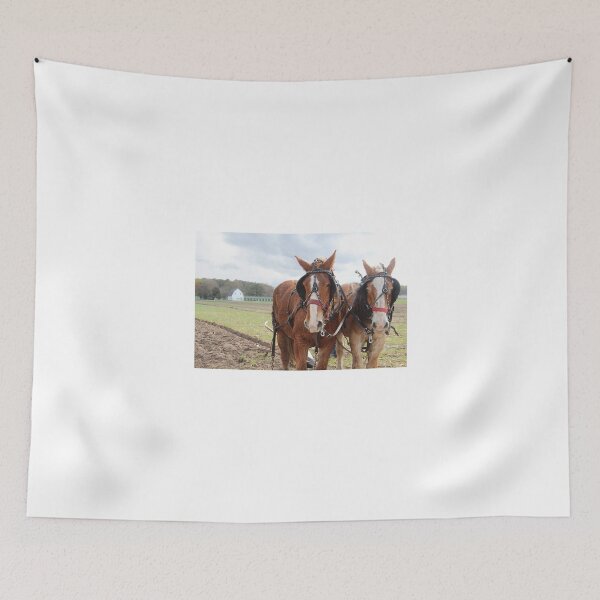 Item preview, Plow Days - Mount Hermon, Maryland designed and sold by searchlight.