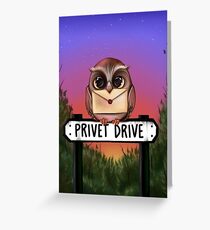 Owl Post Greeting Card