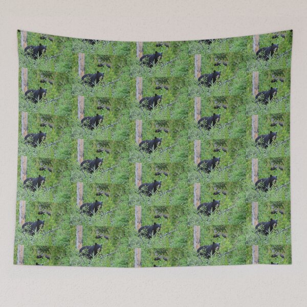 Item preview, Momma Black Bear with 2 Cubs in Alaska designed and sold by 2CrabbySisters.