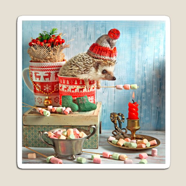 Christmas Hedgehog by Elena Eremina Magnet