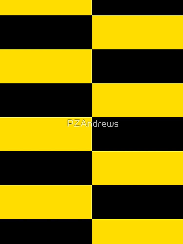 "Flag of Kashubia" Scarf for Sale by PZAndrews Redbubble