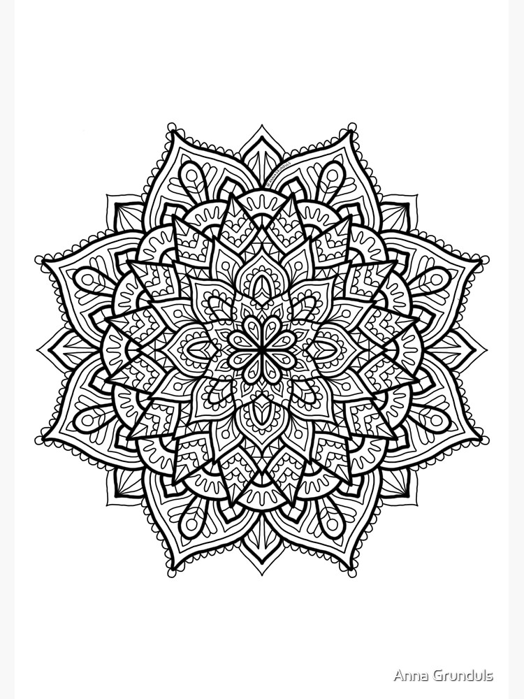 Easy Coloring Book For Adults: An Adult Coloring Book of 40 Basic, Simple  and Bold Mandalas for Beginners by Adult Coloring World, Paperback