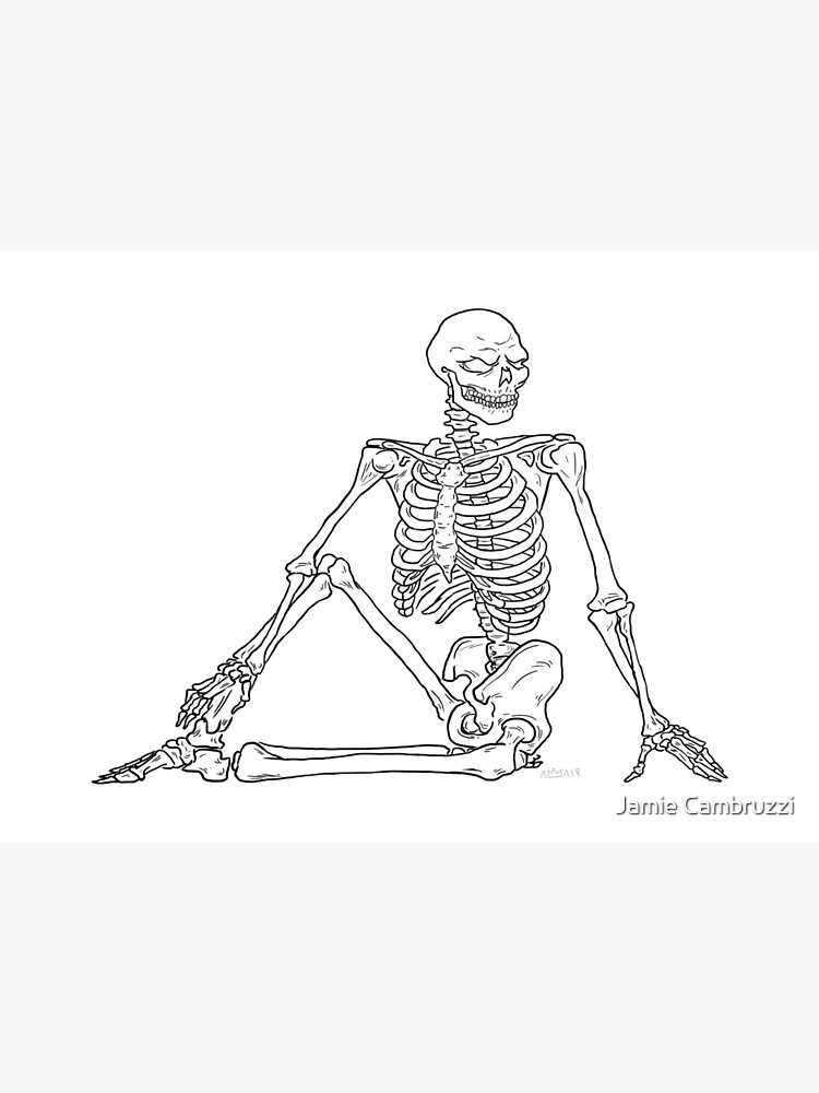Skeleton | Posing skeletons, Skeleton drawings, Human anatomy art