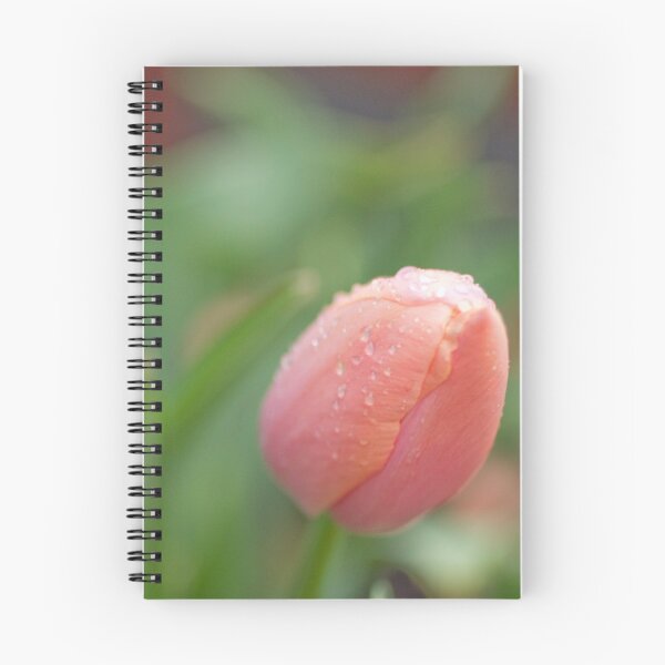 Item preview, Pink Tulip  designed and sold by Michelle Lia.