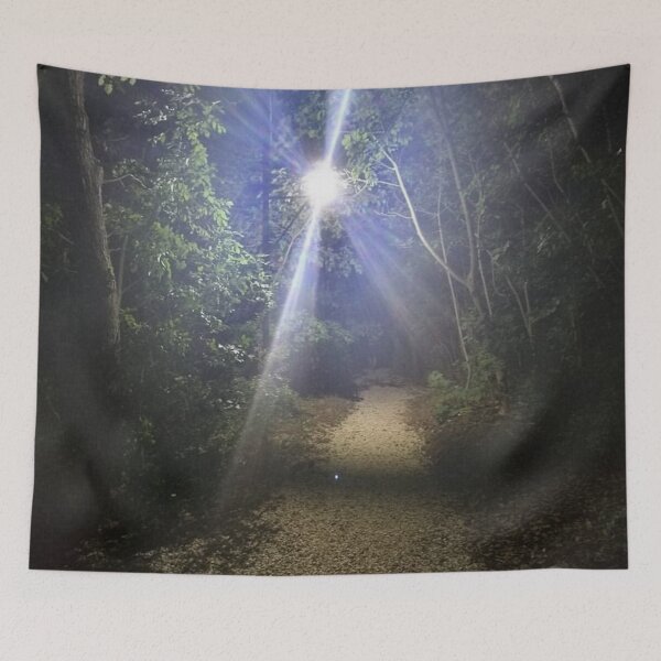 Item preview, The light shows you the way in the dark forest designed and sold by Oliver Balazs.