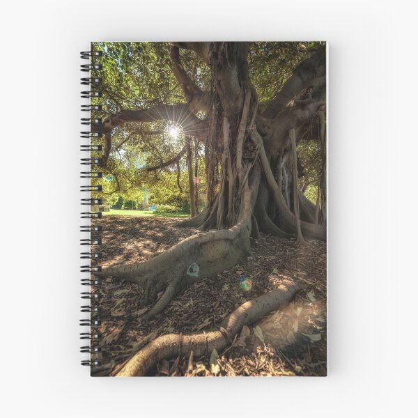 Item preview, Light through the canopy designed and sold by Adriano Carrideo.