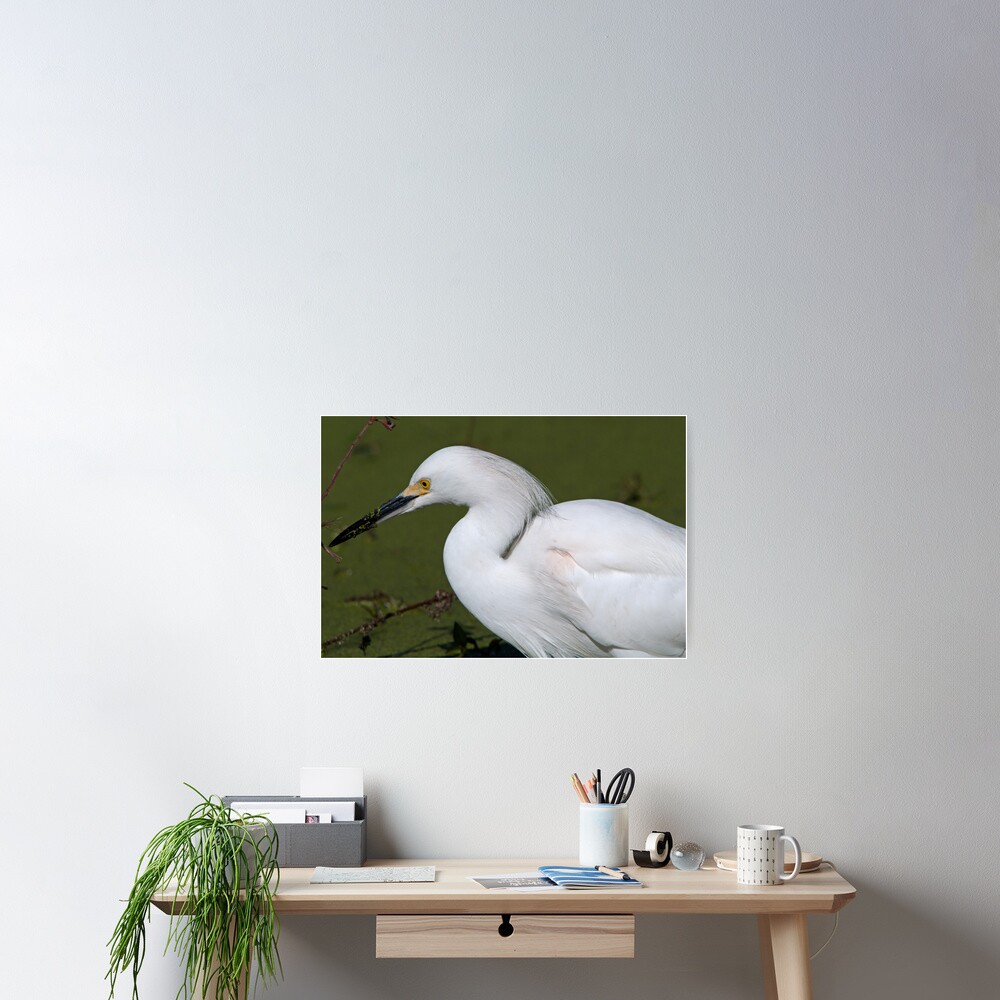 Vista previa del artículo con la obra «Póster», diseñado y vendido por Miracles.