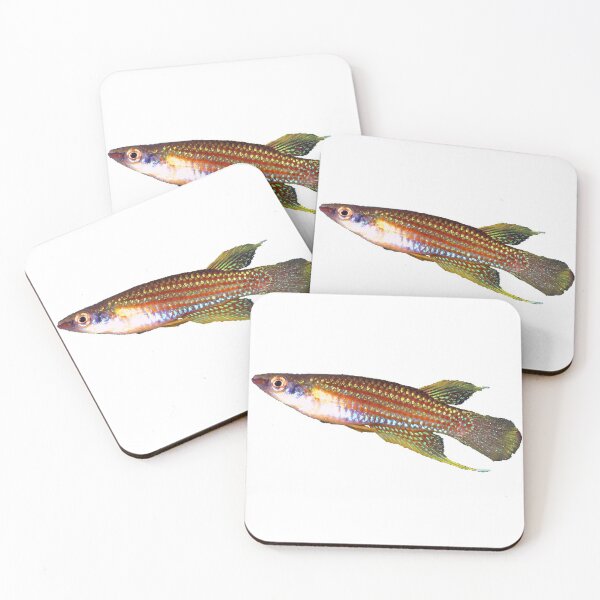 Item preview, Aplocheilus parvus Killifish designed and sold by killies.