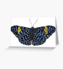 Red Cracker Butterfly Greeting Card