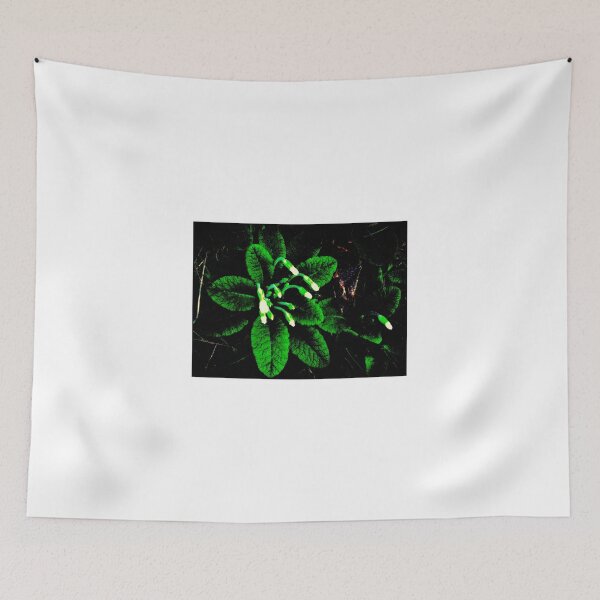Item preview, primroses designed and sold by ART22.