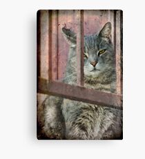 I Know You Can't See Me! Canvas Print