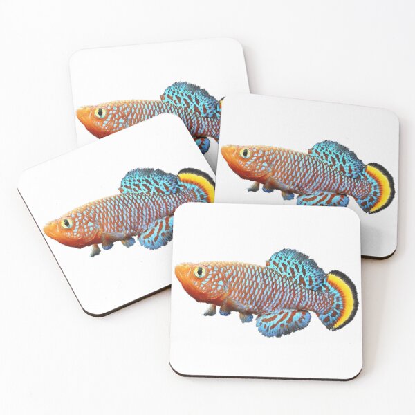 Item preview, Nothobranchius rachovii designed and sold by killies.