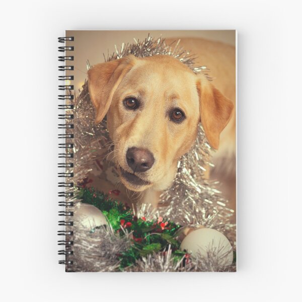 Item preview, Christmas Chomp designed and sold by CathHolmesPhoto.
