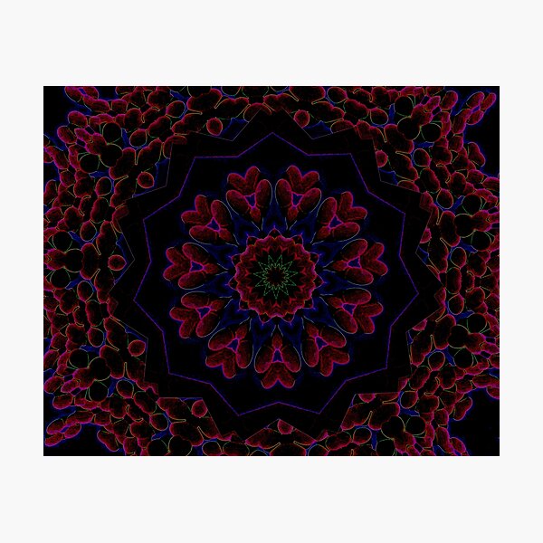 Post Alien Luminance Pedals Design Offering From Green Bee Mee Photographic Print