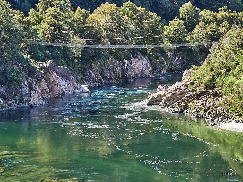 Buller Gorge Swing Bridge South Island New Zealand By