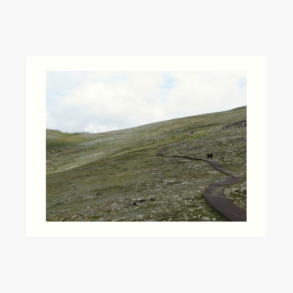Walkway to Mount Kosciuszko Art Print