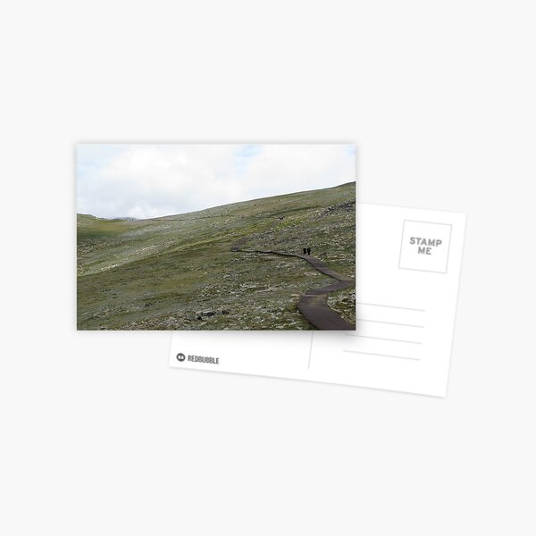 Walkway to Mount Kosciuszko Postcard