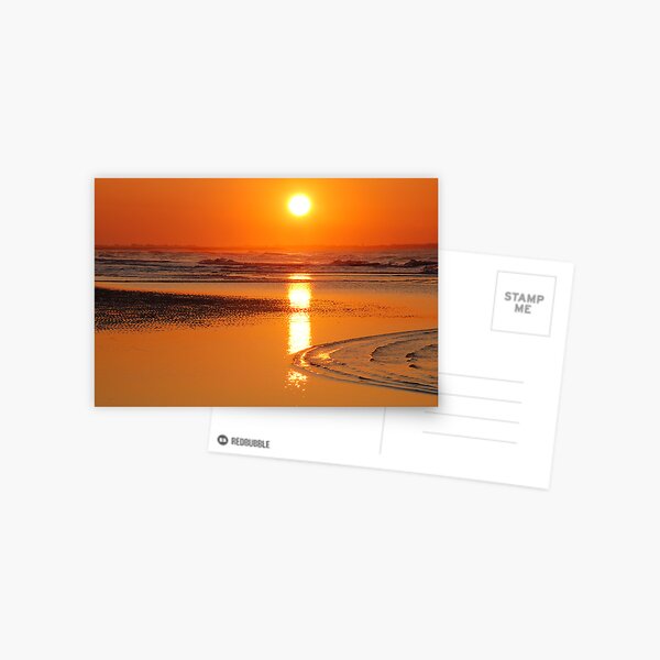 Sunset in Zeeland Postcard