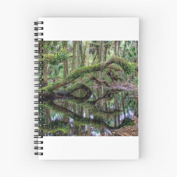 Item preview, Flooded forest designed and sold by Joe Saladino.