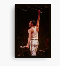 KING queen Canvas Print