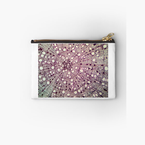 Item preview, Plant stem cross section designed and sold by Joe Saladino.