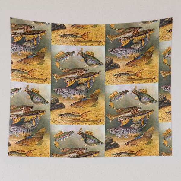 Item preview, Bade 1915 Killifish Drawing designed and sold by killies.