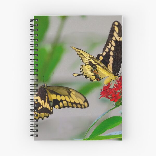 Item preview, Tiger swallowtail butterflies designed and sold by Joe Saladino.