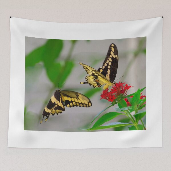 Item preview, Tiger swallowtail butterflies designed and sold by Joe Saladino.