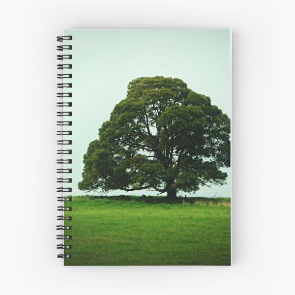 Item preview, *Standing Strong on road to Trentham, Vic. Australia designed and sold by EdsMum.