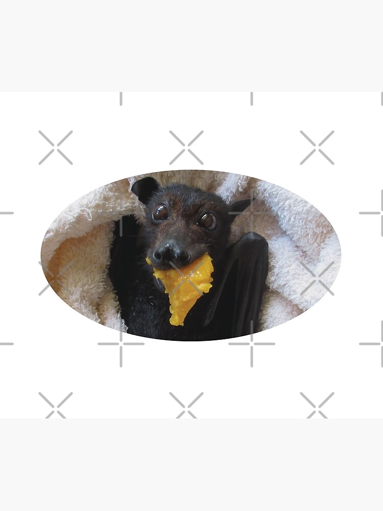 Batzilla - Molly Mango by batzilla