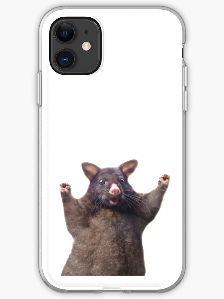 wahoo iphone case