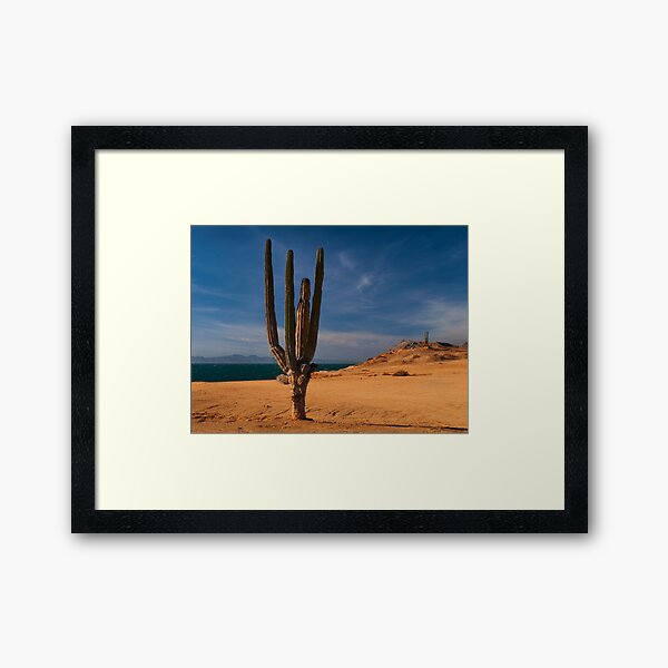 Cactus Row Framed Art Print