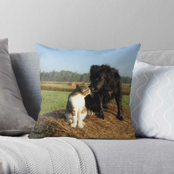 Best Buddies Dog and Cat Throw Pillow